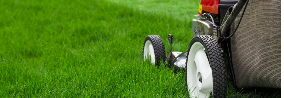 Rasenmäher im hohen Gras